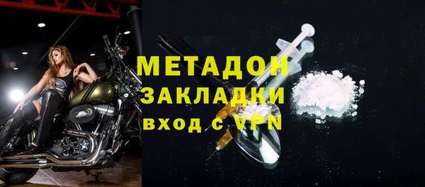 амф Гусев