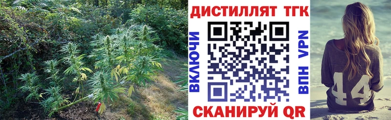 цена наркотик  кракен вход  ТГК гашишное масло  Пятигорск 