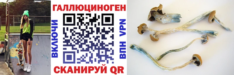 гидра вход  Пятигорск  Галлюциногенные грибы ЛСД 