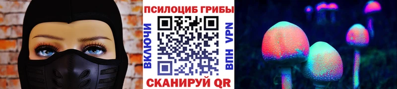 Галлюциногенные грибы Psilocybine cubensis Пятигорск
